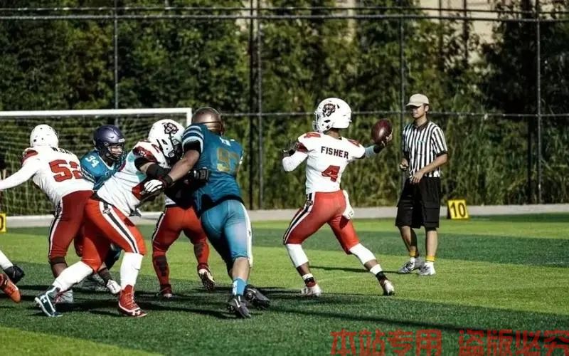 多米体育官方下载