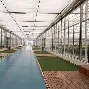 河南建业中超联赛